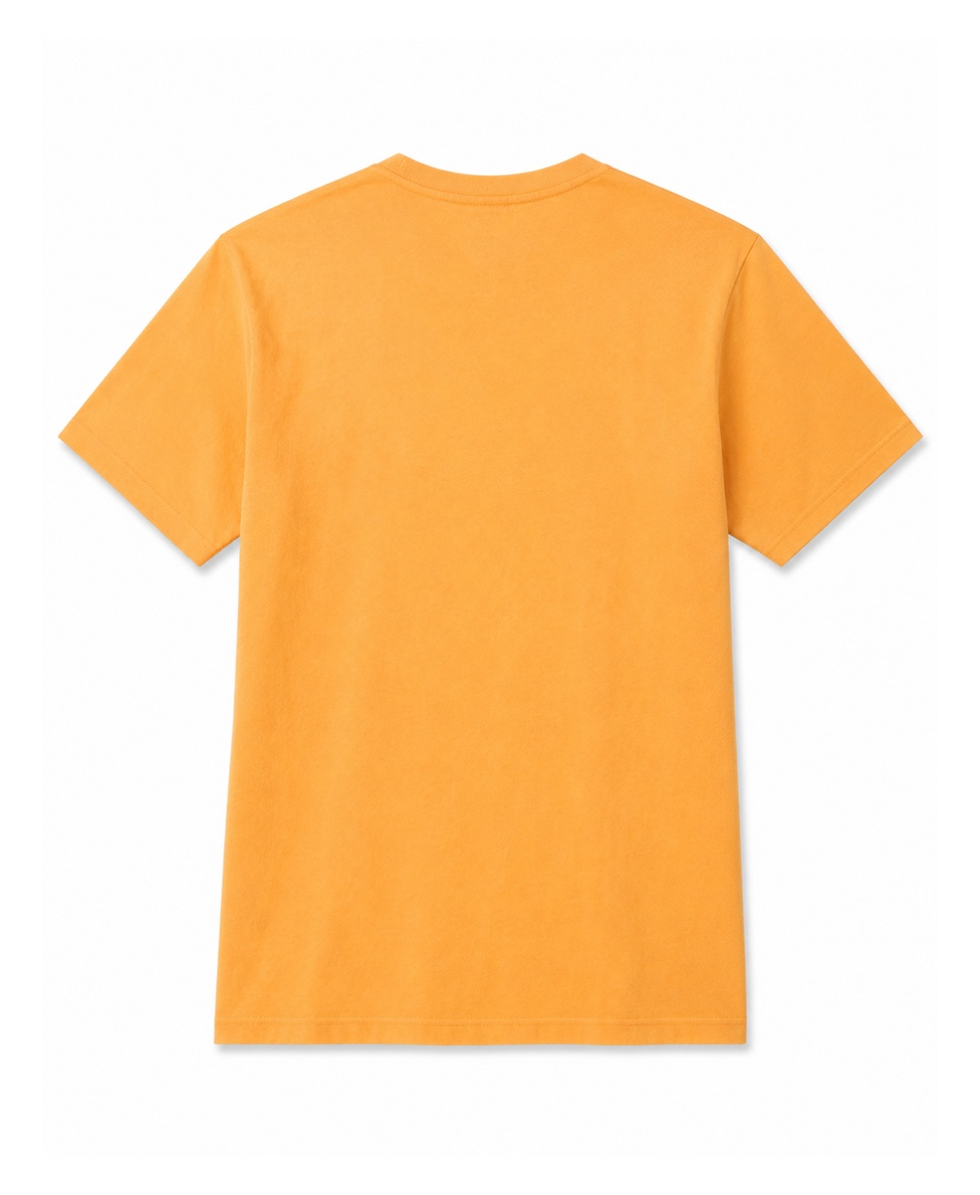 BEAR - T-SHIRT M/C BOY JUNIOR - LONGBOARD - P2 O 2558-2790-301 PUMPKIN - ARANCIONE