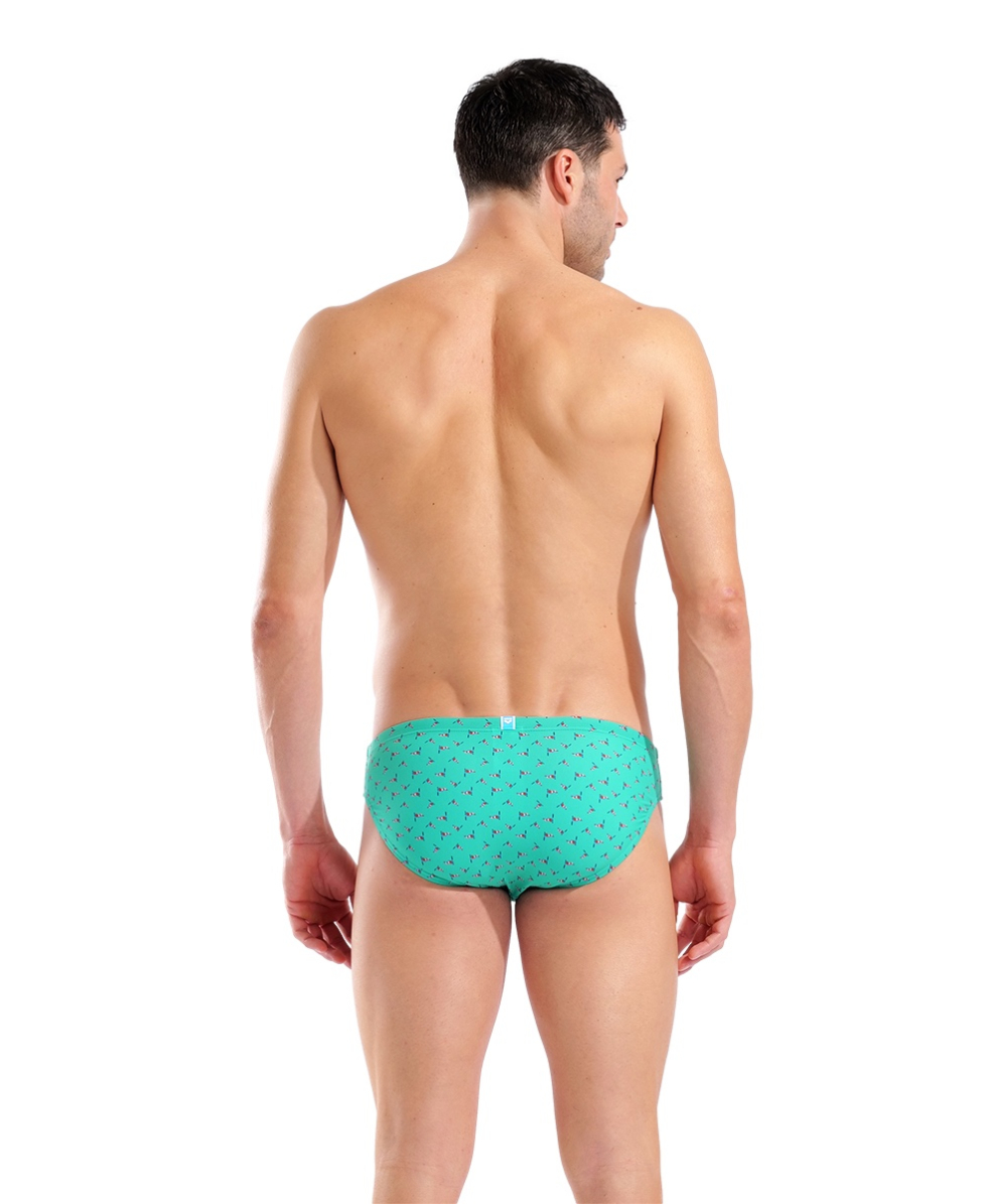 ARENA - COSTUME SLIP - SWIM BRIEF ALLOVER - 005244670 - FLAGS MULTI