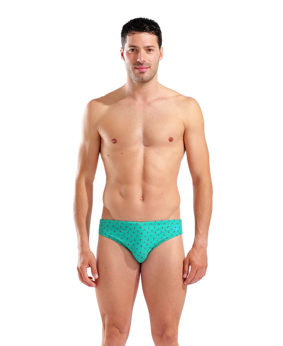 ARENA - COSTUME SLIP - SWIM BRIEF ALLOVER - 005244670 - FLAGS MULTI