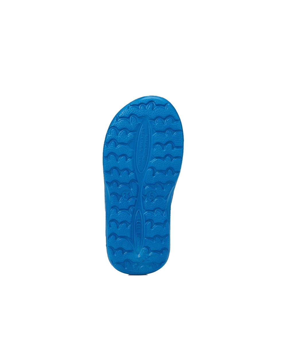 AQUARAPID - CIBATTE BIMBO - GIBA - BLUE