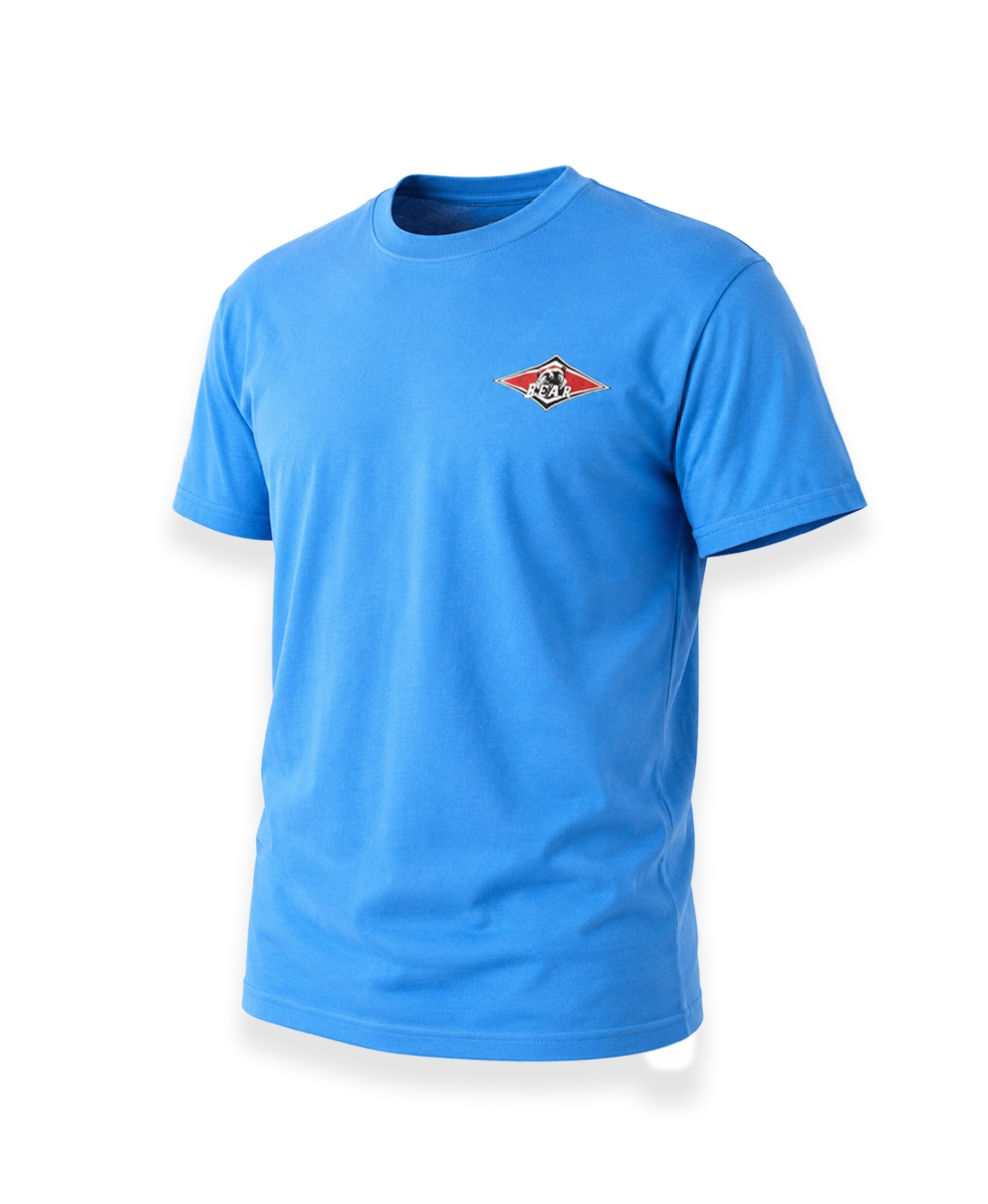 BEAR - T-SHIRT M/C BOY JUNIOR - BASIC T-SHIRT - S9HHC007-608 - PALACE BLUE - AZZURRO